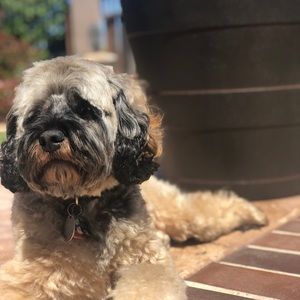 Meet your Posher, John